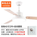 Nordic Style Ceiling Fan Lamp(Remote Control)modern Stylish Ceiling Light Living Room