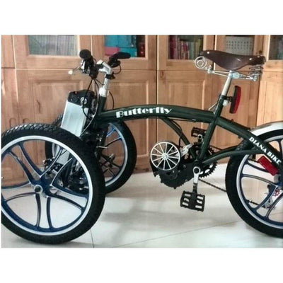 Phoenix Bicycle Tricycle Suspension 6-speed Variable Speed Bicycle