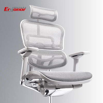 Ergonor Jinhao E Elite Edition Computer Chair Ergonomic Chair Office Chair Reclining Waist Support