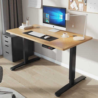 HS Ergonomic Standing Table Electric Height Adjustable Desk Working Table Computer Desk