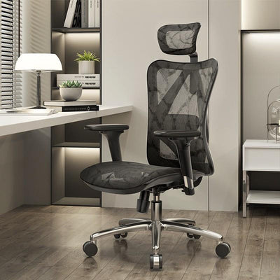 Sihoo M57 Office Chair Ergonomic Mesh Chair Full Back Computer Chair Mesh Chair Erys