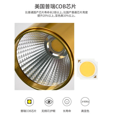 🔥In Stock🔥 Nordic Gold Surface Mounted Spotlight Living Room Dining Room Household Ceiling