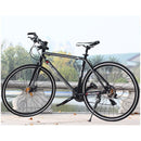 RALEIGH R9 Road Bike Variable Speed Road Bike Male and Female Double Disc Brake Adult Light Off Road