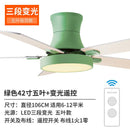 Nordic Style Ceiling Fan Lamp(Remote Control)modern Stylish Ceiling Light Living Room