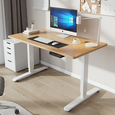 HS Ergonomic Standing Table Electric Height Adjustable Desk Working Table Computer Desk