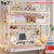 Office Desktop Organisers Desk Book Shelf Small Shelf Household Storage Rack Stationery Holder With