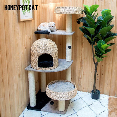 Large Honeypot Nest Tree Integrated Climbing Catgrass Rack Cat Toy Sf