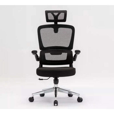 Desiny Full Mesh Ergonomic Chair 3D Office Chair With Ergonomic Lumbar Support Computer Chair