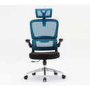 Desiny Full Mesh Ergonomic Chair 3D Office Chair With Ergonomic Lumbar Support Computer Chair