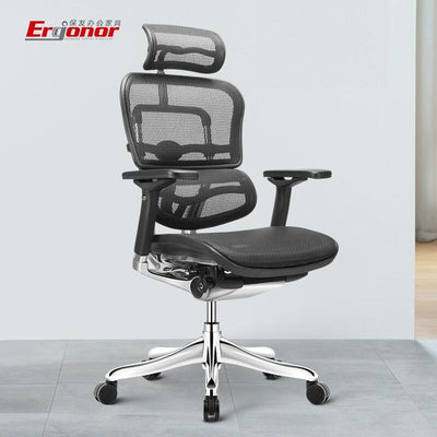 Ergonor Jinhao E Elite Edition Computer Chair Ergonomic Chair Office Chair Reclining Waist Support