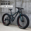 Mountain Bicycle Adult Off-roader Beach Snow Bike 4.0 Tire Male and Female Student Variable Speed