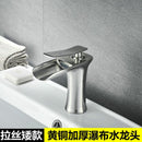 Water House Faucet All Copper Nordic Hot and Cold Black Gold Household Bathroom Basin Water Tap