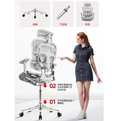 Ergonor Jinhao E Elite Edition Computer Chair Ergonomic Chair Office Chair Reclining Waist Support