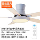 Nordic Style Ceiling Fan Lamp(Remote Control)modern Stylish Ceiling Light Living Room