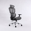 Ergonomic Chair