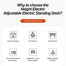 Desiny RGB Height Adjustable Table 140/160cm Electric Standing Desk Computer Table Home Furniture