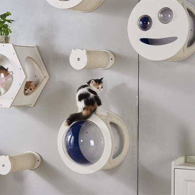 Cat Condo Space Capsule Cat Wall Free Punch-free Nail-free Diy Cat Climbing Wall Hanging Cat's Nest