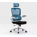 Desiny Full Mesh Ergonomic Chair 3D Office Chair With Ergonomic Lumbar Support Computer Chair