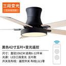 Nordic Style Ceiling Fan Lamp(Remote Control)modern Stylish Ceiling Light Living Room