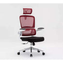 Desiny Full Mesh Ergonomic Chair 3D Office Chair With Ergonomic Lumbar Support Computer Chair