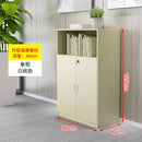 Office Filing Cabinet, Data Cabinet, Low Cabinet, Locker, Bookcase, Office Combination, Floor