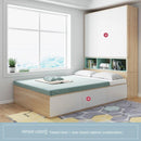 Modern Minimalist Tatami Storage Bed Economy 1.5mm Bed Nordic 1.8m High Box Double Bed