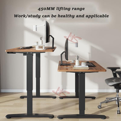 HS Ergonomic Standing Table Electric Height Adjustable Desk Working Table Computer Desk