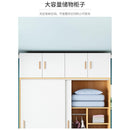 Wardrobe Simple Bedroom Wardrobe Large Capacity Rental Room Cabinet