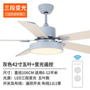 Nordic Style Ceiling Fan Lamp(Remote Control)modern Stylish Ceiling Light Living Room