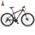 RALEIGH mountain bike bicycle male and female students 30-speed variable speed dual disc brake