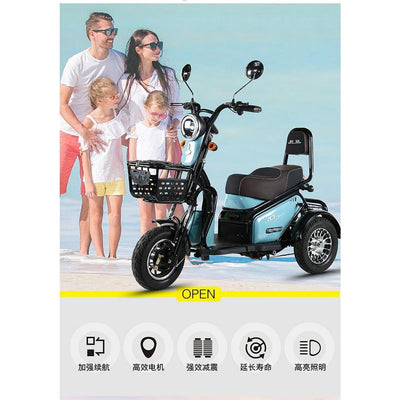 Phoenix Family Mini Pick Up Children Adult Battery Car Scooter Electric Tricycle