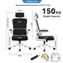 Desiny Full Mesh Ergonomic Chair 3D Office Chair With Ergonomic Lumbar Support Computer Chair