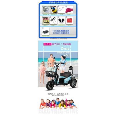 Phoenix Family Mini Pick Up Children Adult Battery Car Scooter Electric Tricycle