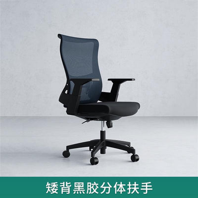 Desiny Office Chair High Back Ergonomic Chair Fixed Handle Study Chair