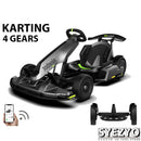 Syezyo Ninebot No.9 Pro Net Red Go Kart Xiaomi Adult Balance Drift Children's Race Car