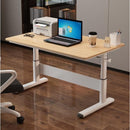 Desiny 90/100CM Standing Desk USB Electrc Height Adjustable Table Small House Study Table