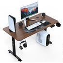 Desiny RGB Height Adjustable Table 140/160cm Electric Standing Desk Computer Table Home Furniture