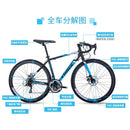 Trinx 700C Road Bike SHIMANO Variable Speed Bicycle Ultralight Mountain Bike