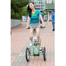 Phoenix Bicycle Tricycle Suspension 6-speed Variable Speed Bicycle