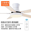 Nordic Style Ceiling Fan Lamp(Remote Control)modern Stylish Ceiling Light Living Room