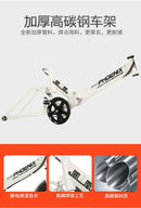 Phoenix🚴‍♀️Folding Bike Spot Road Bikes Ready Stockfolding Bicycles, Women''s Lightweight Portable