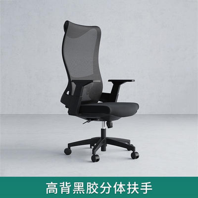 Desiny Office Chair High Back Ergonomic Chair Fixed Handle Study Chair