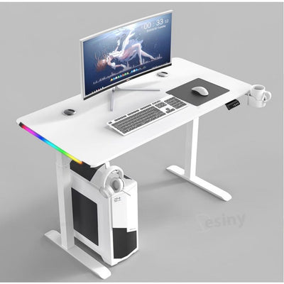 Desiny RGB Height Adjustable Table 140/160cm Electric Standing Desk Computer Table Home Furniture