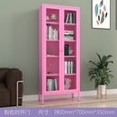 Bookshelf Cabinet Living Room Dustproof Bookshelf Wrought Iron Glass Door Bookcase Home Floor