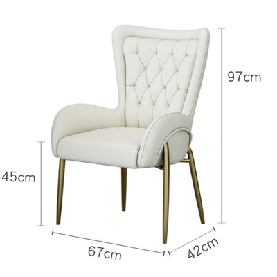 Nordic Light luxury dining chair modern simple internet red book chair leisure home chair restaurant