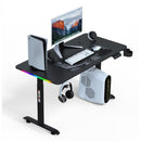 Desiny RGB Height Adjustable Table 140/160cm Electric Standing Desk Computer Table Home Furniture