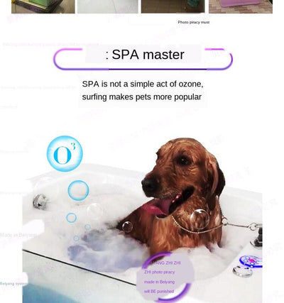 Pazazz Pet Shop Pool Acrylic Tub Spa Bath Large Dog Hydrotherapy Machine 882297v8yn27-882297