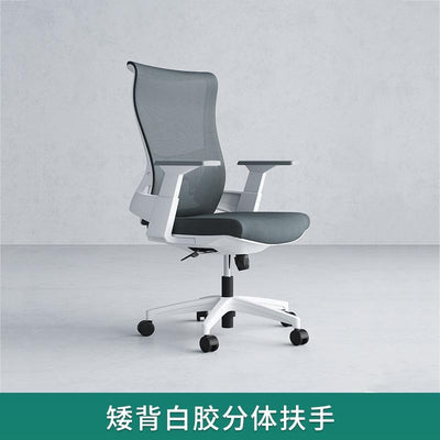 Desiny Office Chair High Back Ergonomic Chair Fixed Handle Study Chair