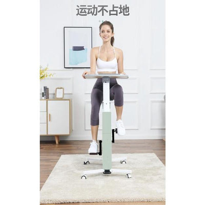 Foldable Indoor Stationary Bike Spin Bike Indoor Cycling Home Exercise Bike Magnetic Control Mute