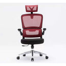 Desiny Full Mesh Ergonomic Chair 3D Office Chair With Ergonomic Lumbar Support Computer Chair